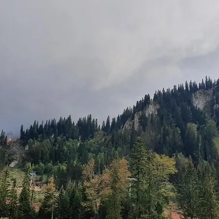Premium Snjezna Dolina *